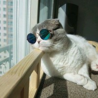 Define labs Employee Akash Ghuge's profile photo