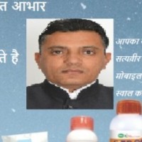 Satyaveer Bishnoi Email