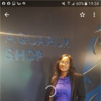 Sophia Frimpong Email & Phone Number