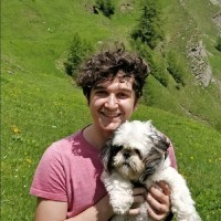 Forte! Employee Ronaldo Zefi's profile photo