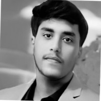 Startupwala Employee Harsh Pandey's profile photo