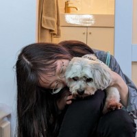 Beverly Siu Email