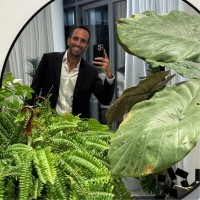 Simon Scemama Email & Phone Number