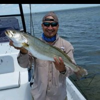 Fernando Lamas Email