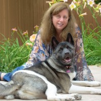 swXtch.io Employee Donna Silveri's profile photo