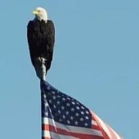 Millennium Control Systems Employee Craig Winkleman's profile photo