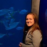 Adult Learning Systems Up Employee Amanda Schoeppe's profile photo