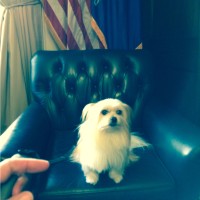 Retired Employee Richard Pollock's profile photo