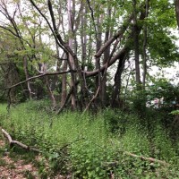 Community Renewal Team, Inc. Employee Heidi Lubetkin's profile photo