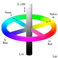 Paramount Packaging Ltd Employee Suahant Kadav's profile photo