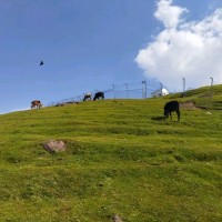 SoftwareHub Employee Aun Chaudhary's profile photo