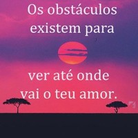 Tech Mentro Employee Edilson Silva's profile photo