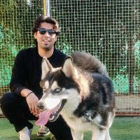 Domigo Employee Akshay Shelat's profile photo