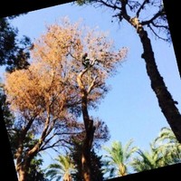 Rivamadrid Employee Jose V's profile photo