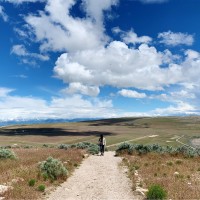 Fullmoon Employee Loc Le's profile photo