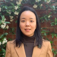 Solid Gold Diamonds Employee Dasul Kim's profile photo