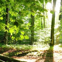 Vancomm, LLC. Employee Paul Eberle's profile photo