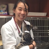 Veterinary Referral Associates Employee Carolyn Chen's profile photo