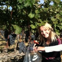 Small Lot MN Employee Jean Taylor's profile photo