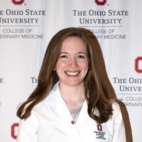 The Ohio State University College of Veterinary Medicine Employee Shannon Kenny's profile photo