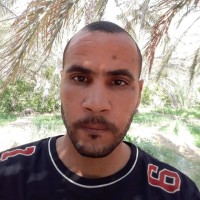 oK Employee Taoufik Rhouma's profile photo