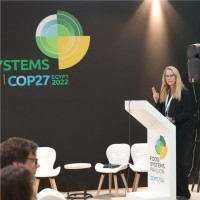 WWF Employee Kate Cooke's profile photo