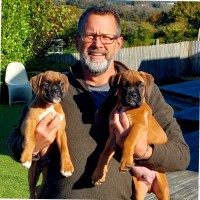 Inscape Employee James Rees's profile photo