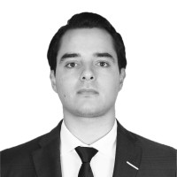 Lemox Employee Carlos Alberto Villarreal González's profile photo