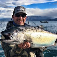 Anders Gustafson Email & Phone Number