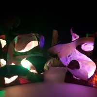 Malte Kosian Email & Phone Number