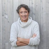 Massachusetts Alliance of Portuguese Speakers Employee Kit Jenkins's profile photo