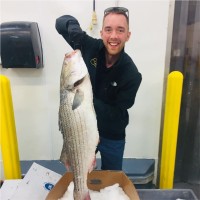 What Chefs Want! Employee Michael Herrick's profile photo