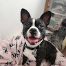 Castle Cleaning Services, LLC Employee Maria Boyer's profile photo