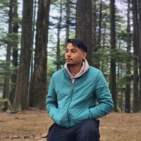 Neptune Solution Employee Vipul Kanojia's profile photo