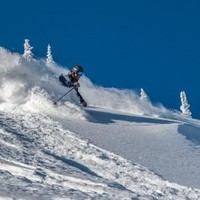 Matt Faure Email & Phone Number