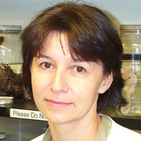 Troy University Employee Ludmila Belaia's profile photo