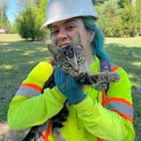 Civil & Environmental Consultants, Inc. Employee Dianna Martinez's profile photo