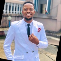 Webdeves Technologies Employee Noble Alozie's profile photo