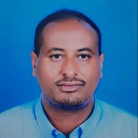 Haftu Berhe Email