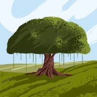 Yousef Mohammad Email