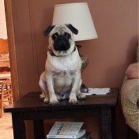 Kumho Tires USA Employee Ricky Thigpen's profile photo