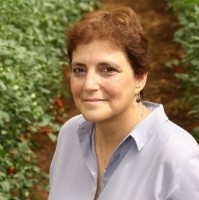 J-Ventures Fund Employee Dganit Vered's profile photo