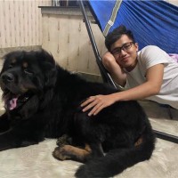 Bachy Soletanche Vietnam Employee Tuấn Việt's profile photo