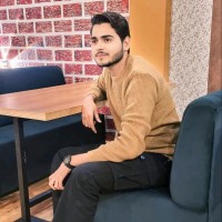 DigitalFox Employee Anas Malik's profile photo