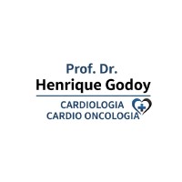 Henrique Godoy Email
