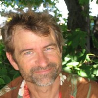 Twitter Employee Andy Wilcox's profile photo