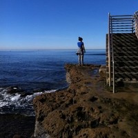 Hamilton Families Employee Melody D.'s profile photo