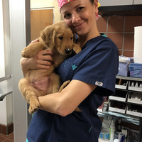 Self Employed Employee Melinda Williams's profile photo