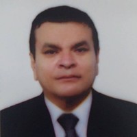 MALVEX DEL PERU S.A Employee Manuel Vidal's profile photo