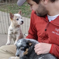 Dynamic Graphics Employee Jesse Rubin's profile photo